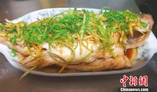 图为家常菜清蒸鲈鱼。 谢艺观 摄