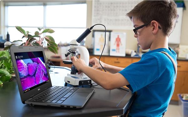 戴尔、惠普、微软、英特尔联名上书：关税上涨将导致产品价格提升