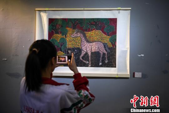 图为拉萨市民观看展览?！『闻罾?摄