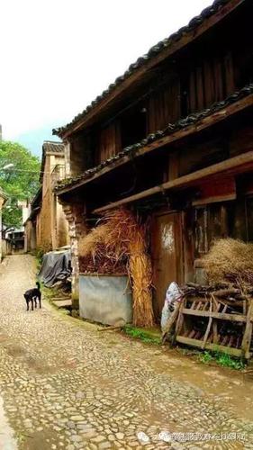 微信图片_20190626162609