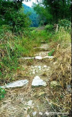 微信图片_20190626162616