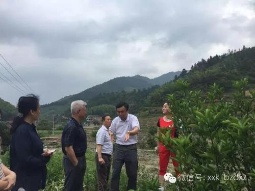 微信图片_20190627104655