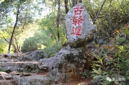 微信图片_20190627135720