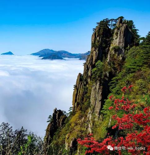 微信图片_20190627144411