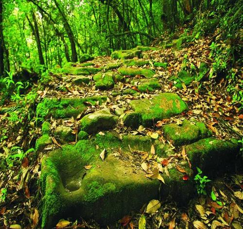 微信图片_20190627173735