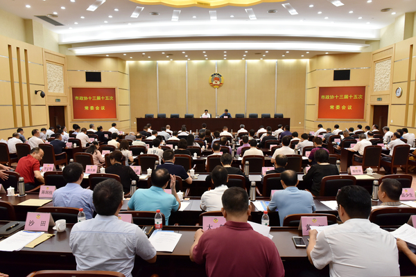 东莞市政协常委会议热议滨海湾新区开发建设