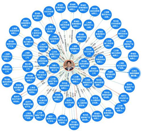 天眼查显示的王振华关联公司图谱。