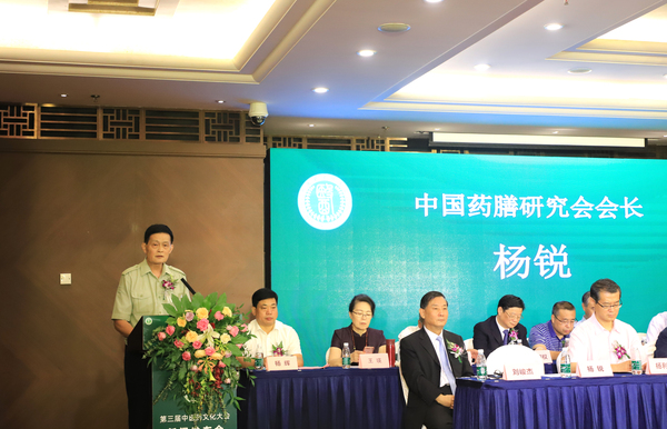 图为中国药膳研究会会长杨锐