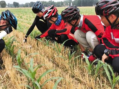 点击进入下一页