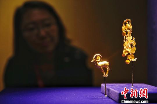 图为市民观展?！°蟛?摄