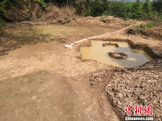 徐阶墓 祝原 摄