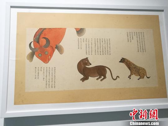 “故宫里的海洋世界--《海错图》多媒体综合展”，11日下午在深圳海上世界艺术文化中心开幕?！≈Ｐ『?摄