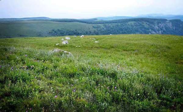 花坡山地的原生态环境秀美，野花遍地