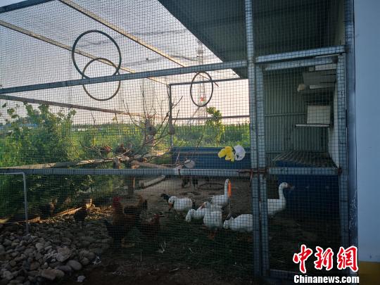 点击进入下一页