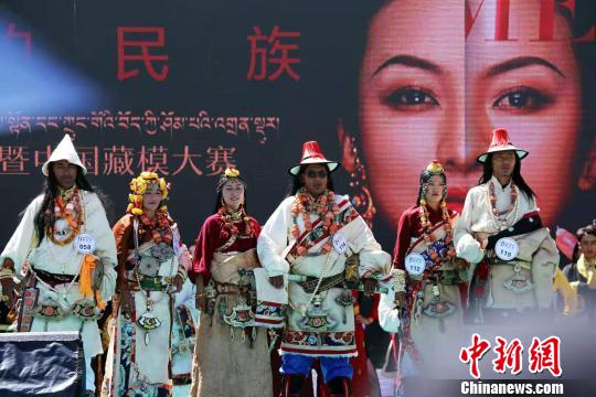 图为参加藏模大赛的选手?！≌粤菟?摄