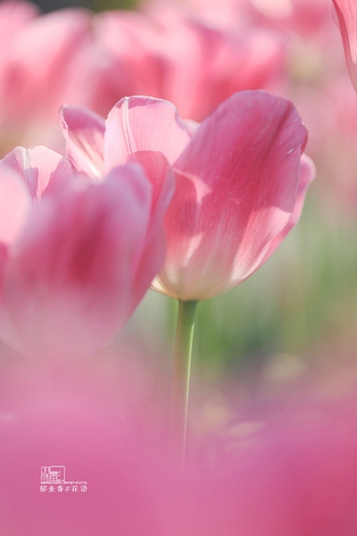 点击进入下一页