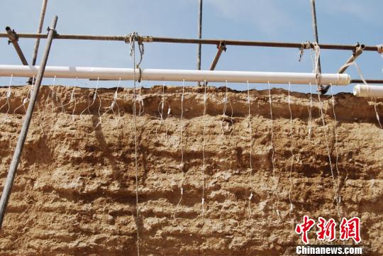 图为嘉峪关长城布满针管，“输液”挂吊瓶。实施该保护方法是对土质较为疏松墙体采用输液形式，注入防风化材料，提高渗透深度，提升墙体密实度。(资料图) 钟欣 摄