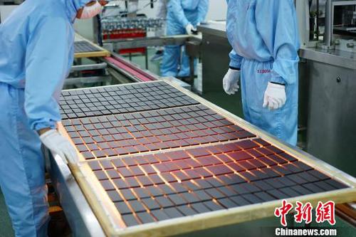 图为东阿阿胶灯检工序?！±钚?摄