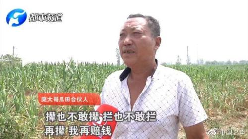 图片来源：都市频道视频截图