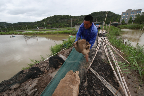 一市镇海塘养殖户在灾后自救