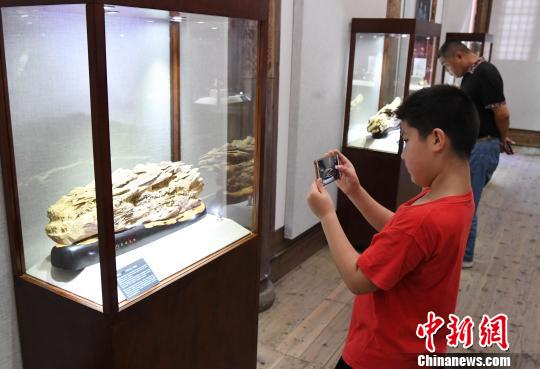 “青蓝门径·福建青年艺术家雕刻作品展”正在福州福建省海峡民间艺术馆展出?！〖钦吡蹩筛?摄