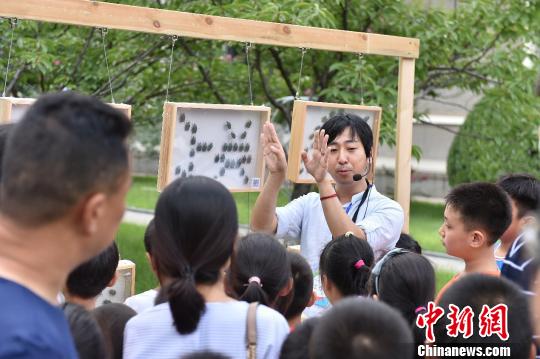 千余种昆虫亮相第二届昆虫艺术科普展