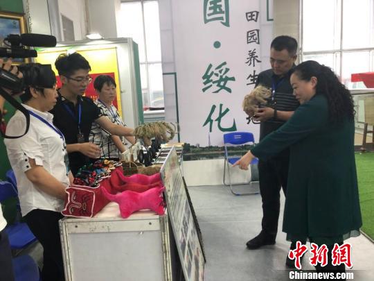 此次展览吸引了八方游客前来观赏?！≌潘?摄