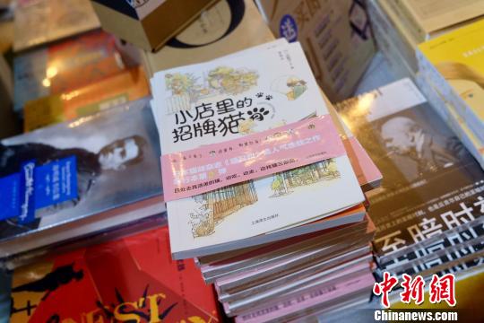 2019上海书展上海译文出版社展台?！⊥躞?摄