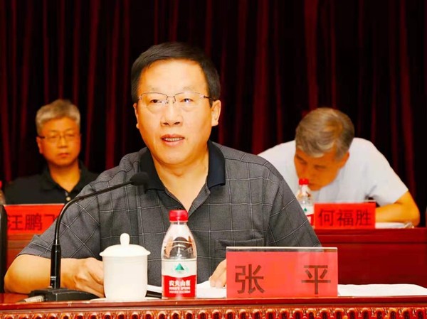 民盟中央副主席张平出席民盟北京市十二届八次全委会暨思想政治宣传工作会并讲话 陈宇 摄