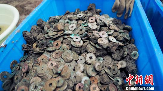 被挖出的古钱币?！⊙盍⒊?摄