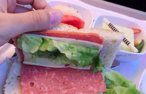 飞机餐缩水为安全？网友：就差压缩饼干配凉白开了