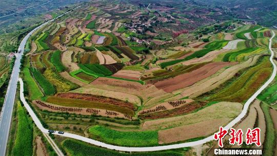图为定西市安定区经过多年水土流失治理后，沟壑间“披绿覆土”。(资料图) 李昊 摄