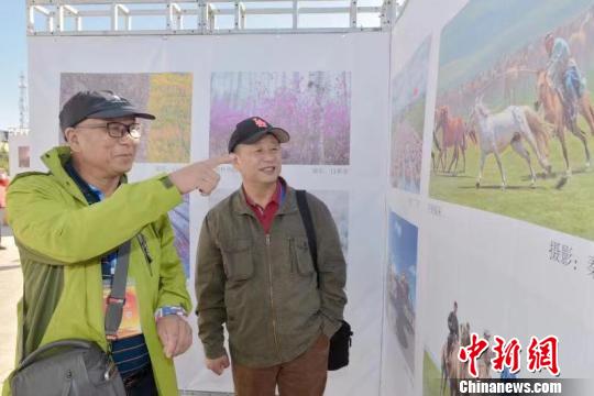 图为活动现场?！≌喷?摄