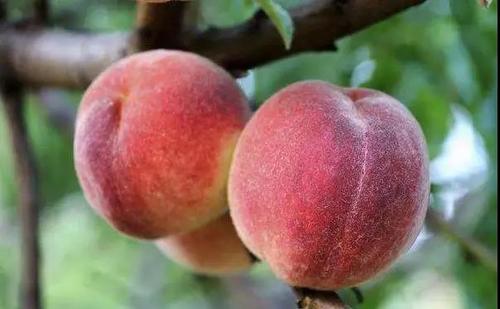 微信图片_20190919141124