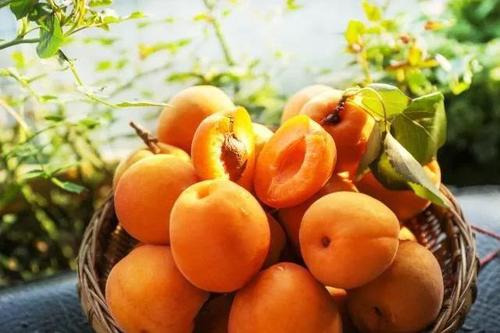 微信图片_20190919141127