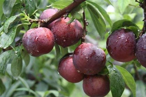 微信图片_20190919141131