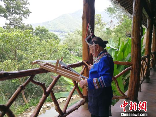 蓝陈启在纺布 叶鑫鑫 摄