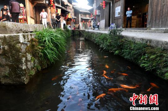 图为周宁鲤鱼溪?！÷烂?摄