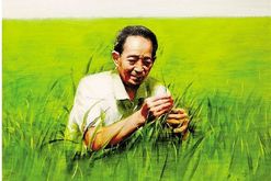 一个农业大国的特殊“重器”