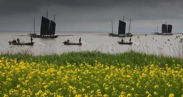 微信图片_20191007185020