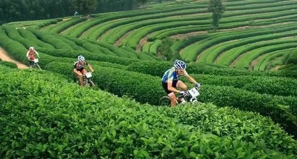 微信图片_20191013195821