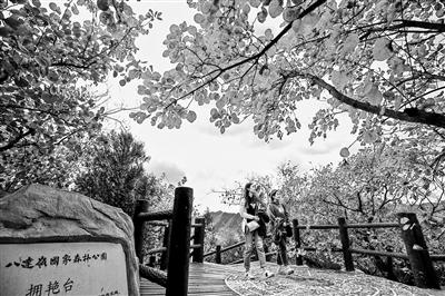 点击进入下一页