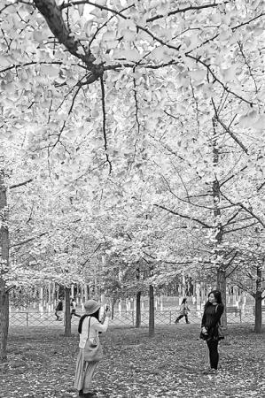 点击进入下一页