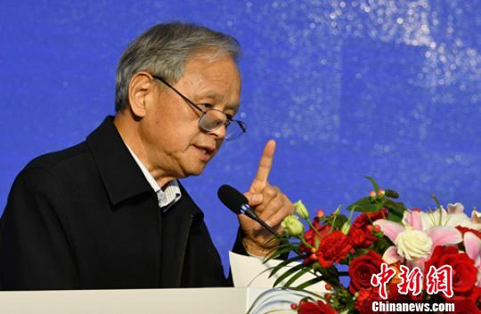 故宫博物院研究员王连起作《苏轼在文人画发展中的作用》主旨演讲?！×踔铱?摄