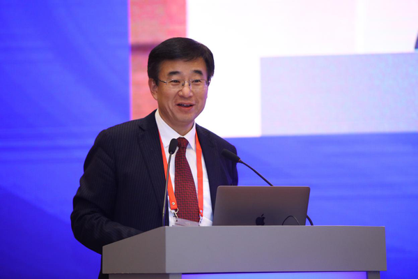 2  （王辰院士发言 图 齐冀）