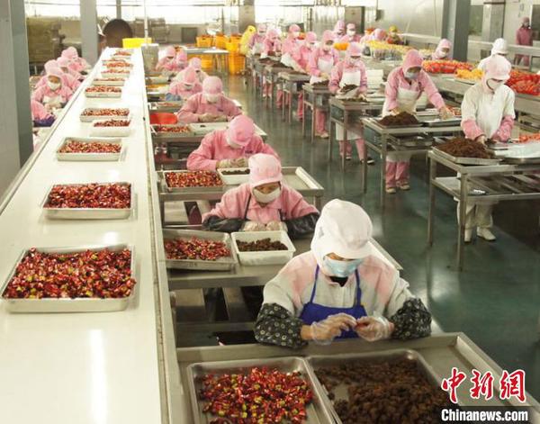 图为企业工人进行牦牛肉加工。　钟欣 摄