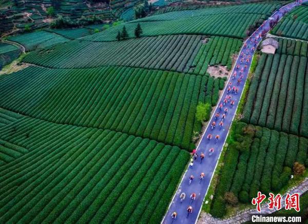 图为：往届丽水摄影节掠影 丽水供图 摄