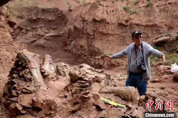 甘肃省临夏回族自治州永靖县官方在“黄河化石论坛”上披露称，近期在该县关山乡红楼村发现了巨龙形类蜥脚类和新鸟臀类恐龙化石。　侯奇志 摄