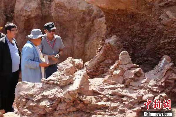 图为科研人员对巨型恐龙骨骼化石进行考察。　侯奇志 摄