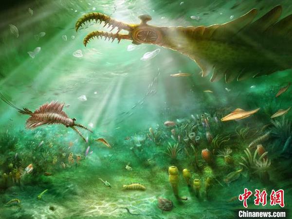 图为澄江生物群生态复原图。中国科学院南京地质古生物研究所供图